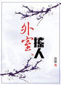 外室撩人苏鎏笔趣阁