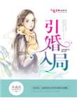 引婚入局全文
