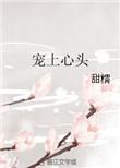 宠上心头宝书网