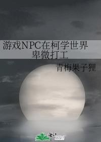 在npc的世界