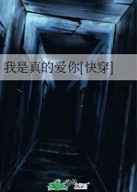 我是真的爱你免费阅读