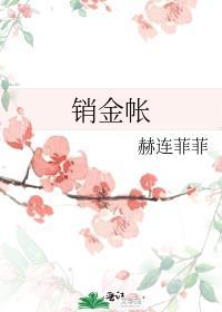 销金帐赫连菲菲txt