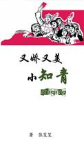 又娇又美小知青txt
