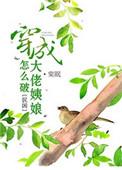 穿成大佬姨娘怎么破完整版