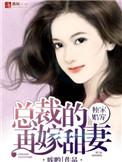 总裁独家妻陆免费阅读