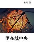 困在城中央结局是什么