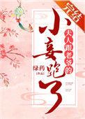 夫人跟老爷小妾跑了TXT免费百度