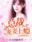 闪婚蜜爱总裁宠妻上瘾第74集