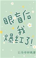 眼盲的我