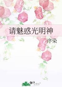 请魅惑光明神免费阅读