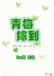 青梅嫁到txt