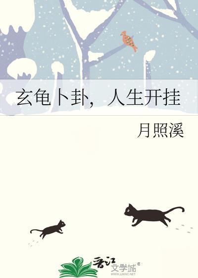 玄龟卜卦人生开挂TXT百度资源