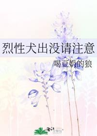 念念不忘的你全文免费阅读