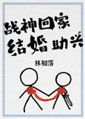 结婚助兴txt盘