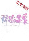 野性温柔讲的什么