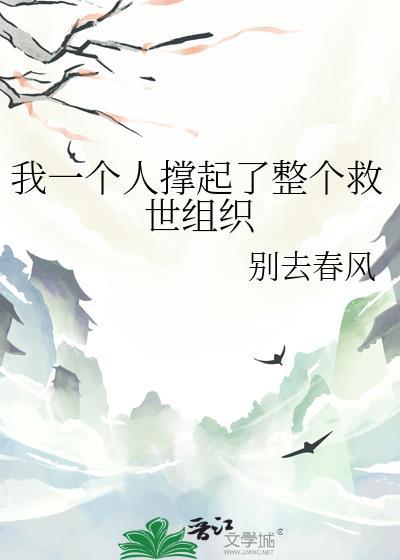 一个人撑起一个组织的