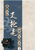 苗疆少年是啥