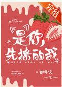 是你先撩的我免费