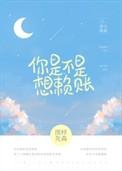你是不是想赖账无错版
