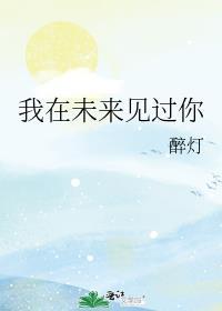 我在未来见过你by醉灯讲的什么