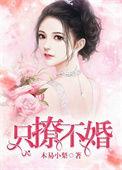 只撩不婚全文免费阅读全文