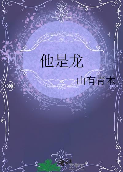他是龙国语