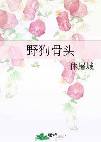 野狗骨头谁不洁