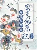 穿成科举文男主的童养媳晋江文学城