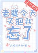 老婆今天又把我忘了txt