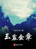 玉宸金章起点中文网