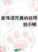 家传是什么