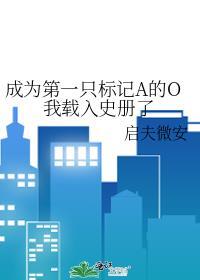 第一次做人太一歌词