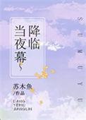 当夜幕降临这个小镇终于恢复了平静