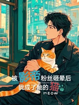 被影帝粉丝碰瓷后