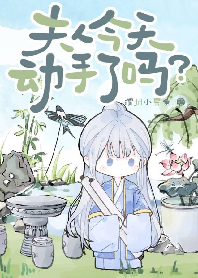 夫人今天又离婚了吗?