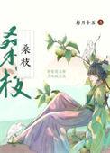 古代药膳手札百度