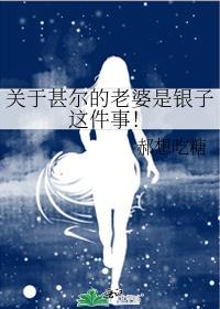 关于甚尔的老婆是银子这件事!作者郝想吃糖