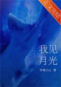 我看见月亮是什么意思