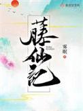 藤仙记讲什么