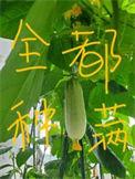 全修真界把我当团宠剧透