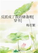 反派成了我的储备粮穿书每若烦