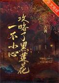 一不小心攻略了黑莲花txt链接