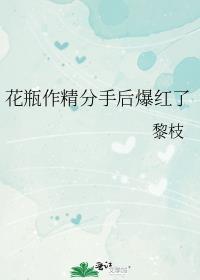 花瓶作精分手后爆红了番外