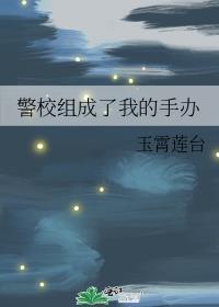 护心电视剧免费观看