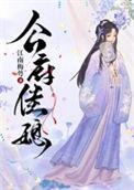 公府佳媳晋江