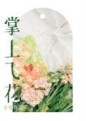 掌上飞燕什么意思