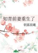 知青前妻重生了笔趣阁