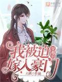 穿越后我被迫当王妃