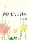偷穿他的白衬衫英语