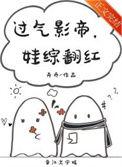 娃综翻红免费阅读
